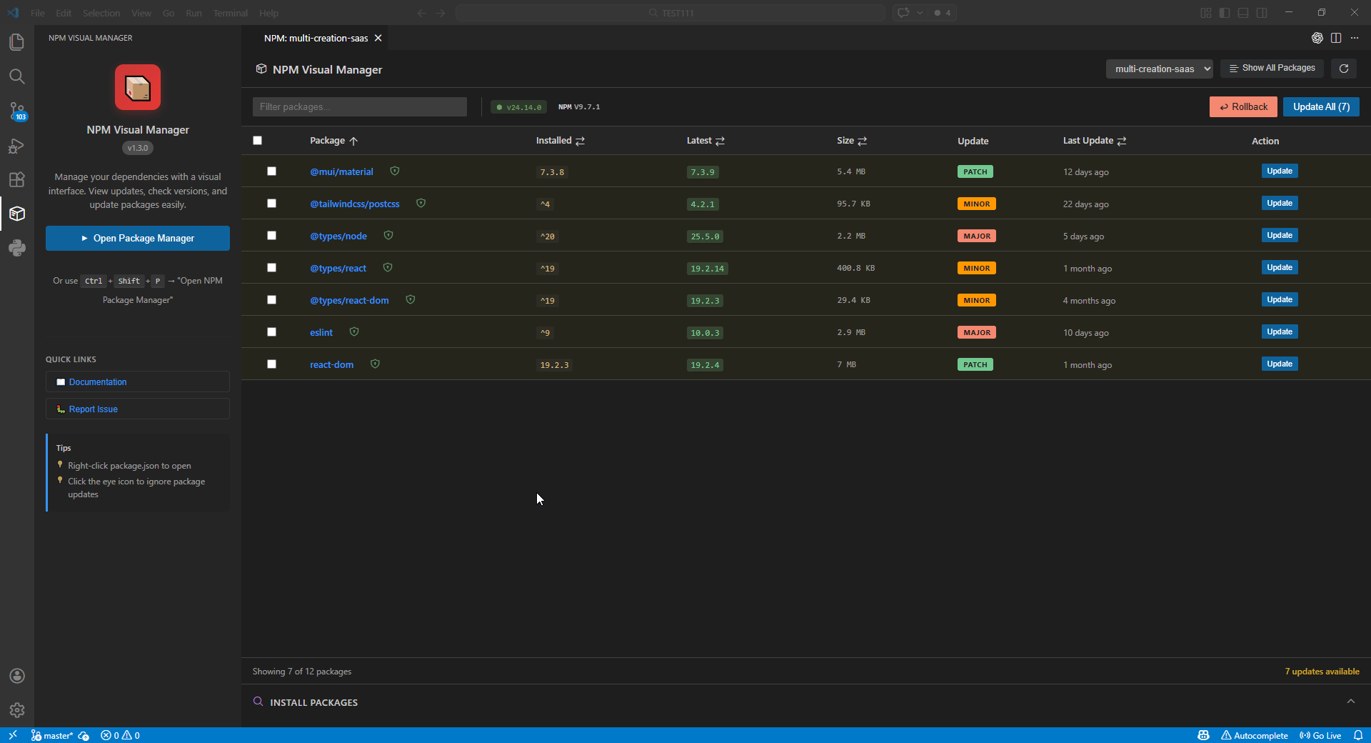 Node.js Package Manager extension preview